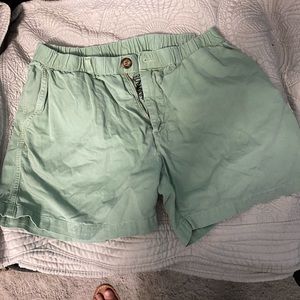 Men’s Chubbies 5.5 Inseam Shorts